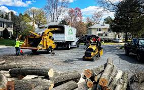 Best Arborist Consultation Services  in Boscobel, WI